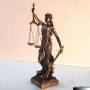 Адвокат! Судебные споры по гражданским и защита по уголовным делам!