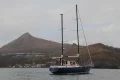 ����