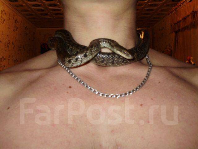 1301501152909_bulletin