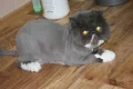 ����