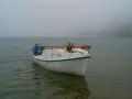 ����