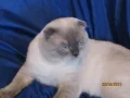 ����