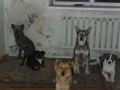 ����