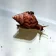 ����