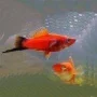 ����