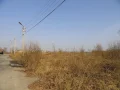 ����