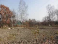 ����