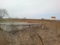 ����