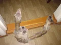 ����