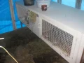����