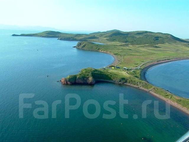 1333604991286_bulletin