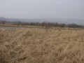 ����