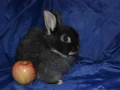 ����