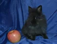 ����