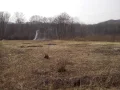 ����