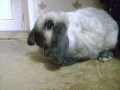 ����