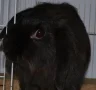 ����