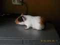 ����