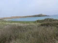����
