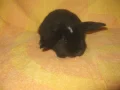 ����