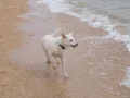 ����