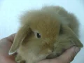 ����