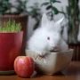 ����