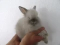 ����