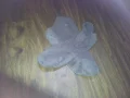 ����