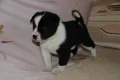 ����
