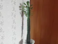 ����