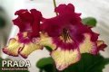 ����