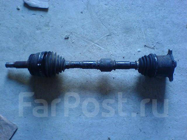 ��� �������� �����