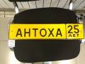 Новинка! Сувенирные автономера на цветных пластинах!. Под заказ