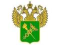 Декларирование любых товаров