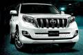 Губа. Toyota Land Cruiser Prado