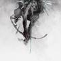 Linkin park - The Hunting Party (CD)
