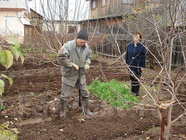 Чудо лопата Торнадо форум