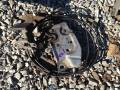Тросик капота и замок от Honda Accord EURO R CL1 H22A. Honda Prelude, BB6 Honda Torneo, CL1 Honda Accord, CL1 Двигатель H22A