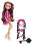 Куклы Monster high.