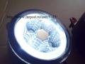 Фара противотуманная. Subaru Forester, SJ, SJG, SJ5 Двигатели: FB25, FA20, FB20