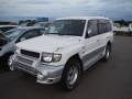 Клык бампера. Mitsubishi Pajero, V43W, V26W, V44W, V25W, V45W, V24W, V23W, V46W, V21W
