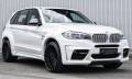 Обвес кузова аэродинамический. BMW X5, F15