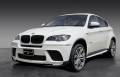 Обвес кузова аэродинамический. BMW X6