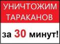 Уничтожение насекомых.