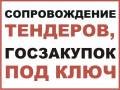 Полное Сопровождение электронных торгов!