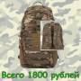 Рюкзаки тактические.