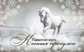 Конная прогулка.