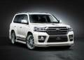 Губа. Toyota Land Cruiser. Под заказ