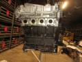 Двигатель. Volkswagen Passat Audi A4 Audi A6